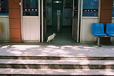 《卡德洞窟》正式版成为2024评分最高的游戏之一